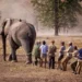 En Afrique, une ONG surpuissante « accapare des terres au nom de la nature »