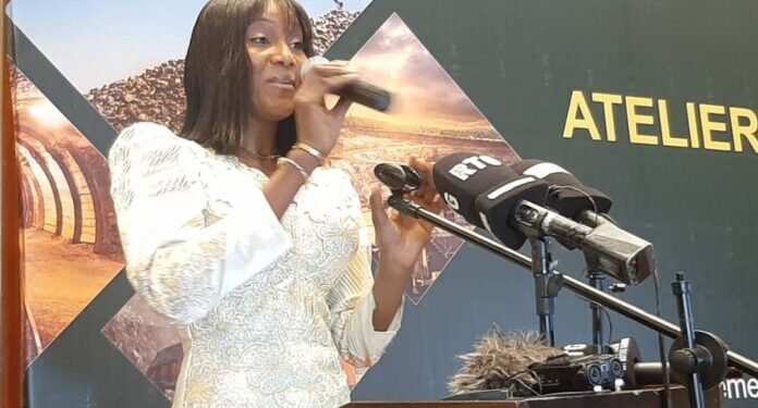 L&rsquo;atelier régional du Forum des administrations fiscales ouest africaines a lieu en Guinée