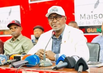 Guinée : Guillaume Hawing présente les innovations du   projet de nouvelle constitution