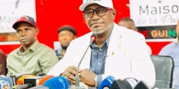 Guinée : Guillaume Hawing présente les innovations du   projet de nouvelle constitution