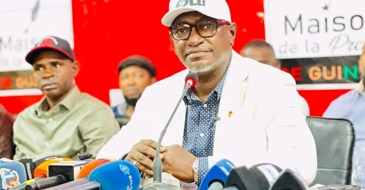 Guinée : Guillaume Hawing présente les innovations du projet de nouvelle constitution