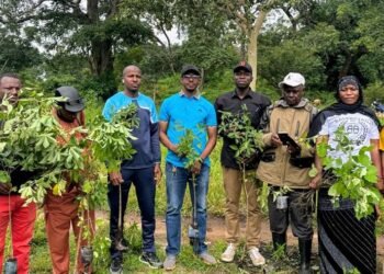 Sandenia : Une initiative de reboisement pour protéger l’environnement  Dans le cadre de la protection de