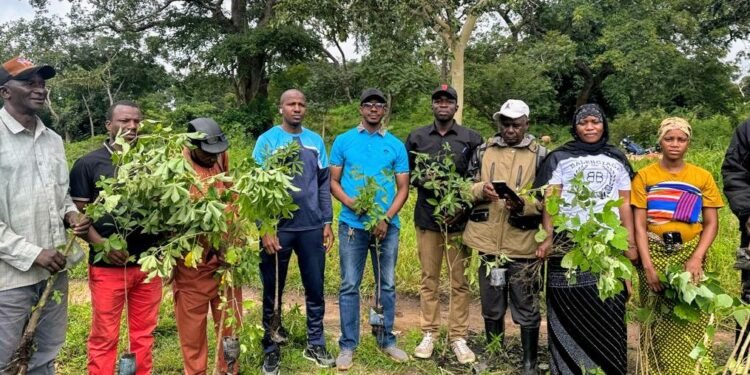 Sandenia : Une initiative de reboisement pour protéger l’environnement  Dans le cadre de la protection de
