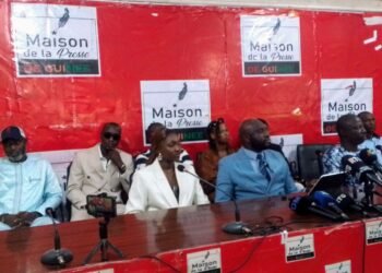 Présidentielle 2025 en Guinée : Mamadou Saliou Fofana, leader des Forces Nouvelles, entre en lice.