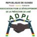 Remerciements de l&rsquo;ADPL pour les Contributions lors de la Lecture du Saint Coran et la Distribution des Deniers Alimentaires