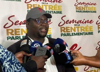 Rentrée parlementaire 2026-2027 : Aly Fadiga évoque le rôle de la diaspora guinéenne.