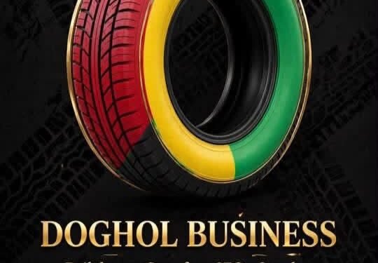 DOGHOL BUSINESS Votre partenaire en pneumatiques