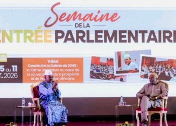 Dansa Kourouma appelle à passer du vote des lois à l’évaluation de leur impact.